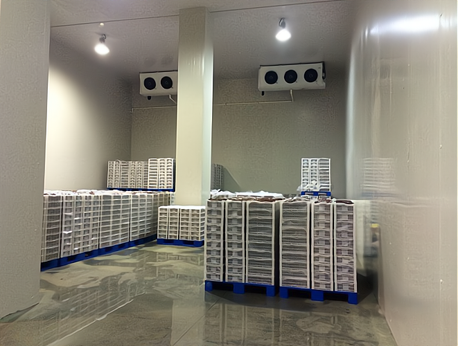 開一個雪糕批發冷庫 專業指導，創業無憂！預包裝食品批發策略