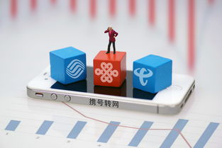 上海市民可到三家營業廳辦理攜號轉網，附轉網最詳攻略及基礎電信業務解析